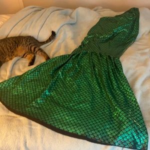 Mermaid Costume